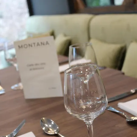 Lägenhetshotell Montana 3*